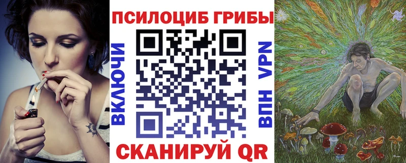 Галлюциногенные грибы Psilocybe  Дзержинский 